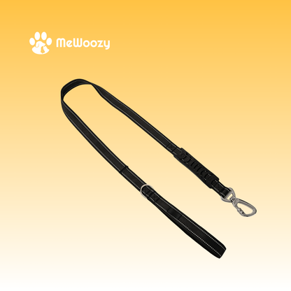 Dog Harness with Leash and Name Tag – For Comfortable Walks