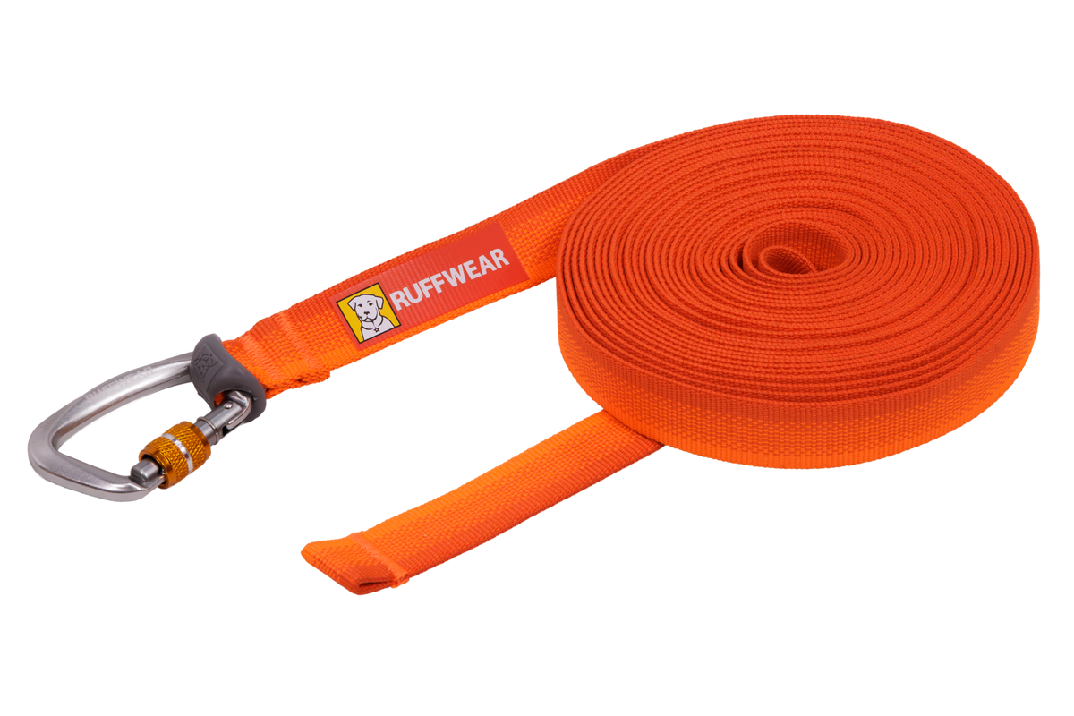 Opgerolde oranje lange lijn voor honden van webbing met karabijnhaak