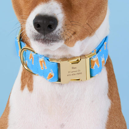 Cream Soda Halsband Voor Honden