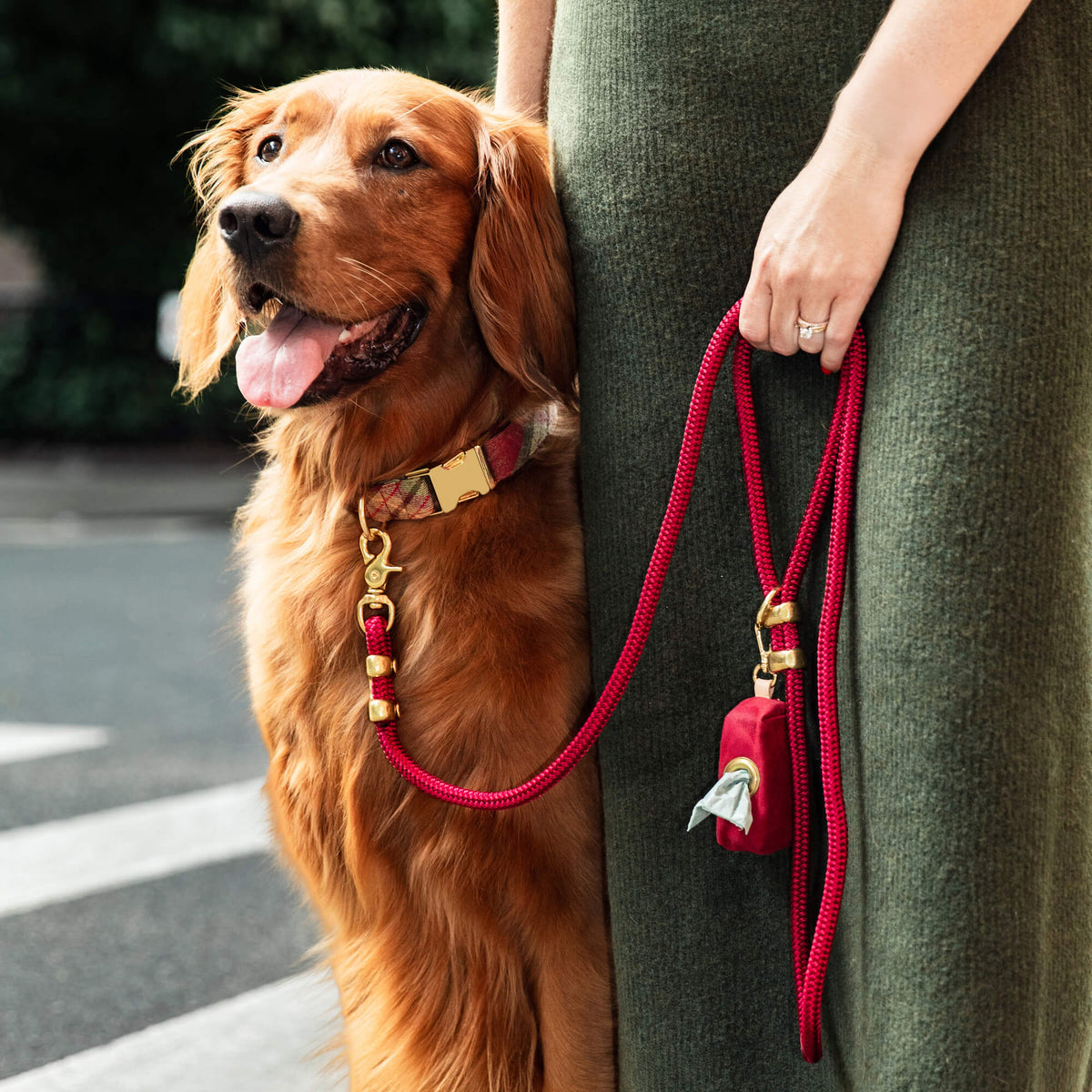 Orchard Geruite Flanellen Wandelset Voor Honden