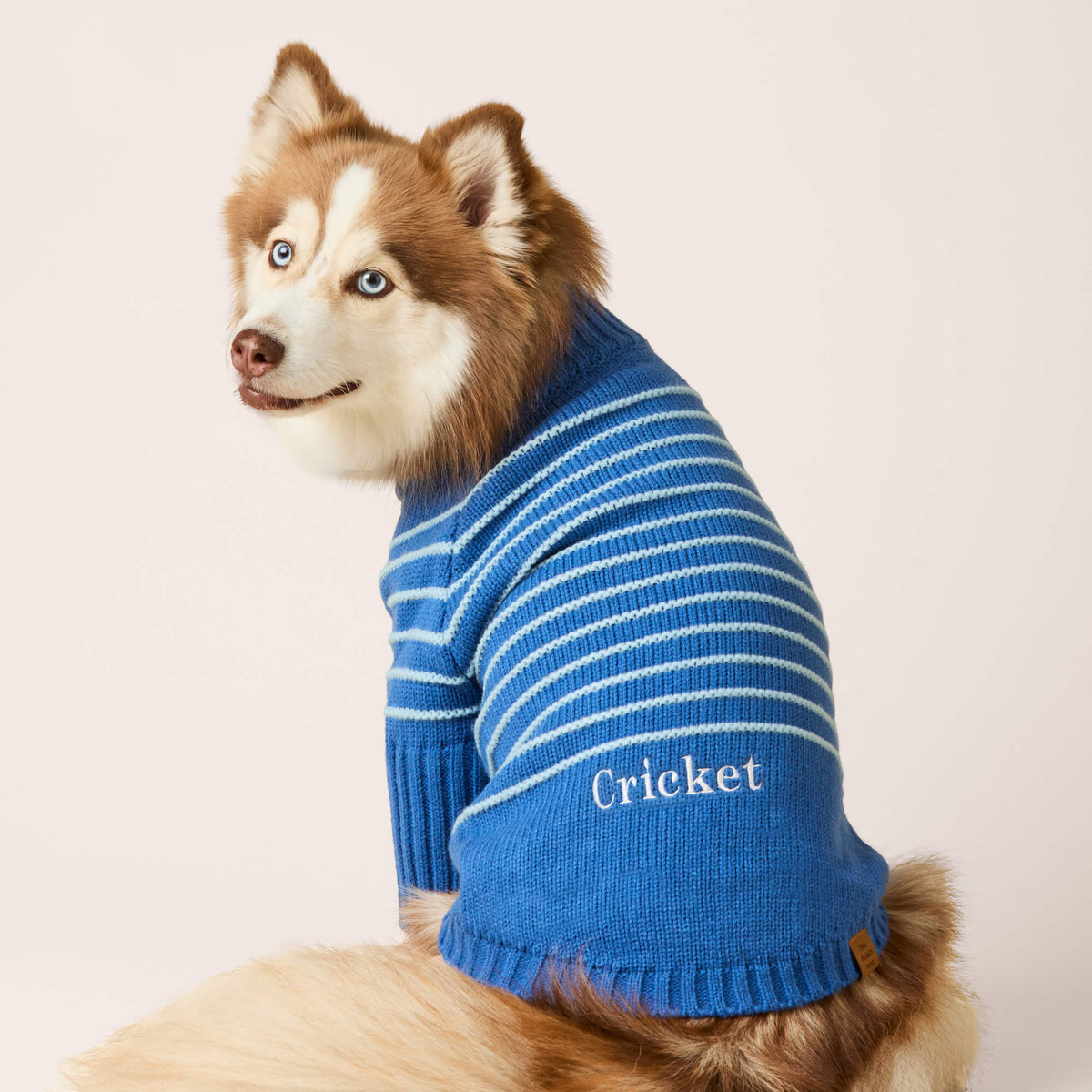 Gestreepte Hondentrui Met Kwart-Rits – Blauw