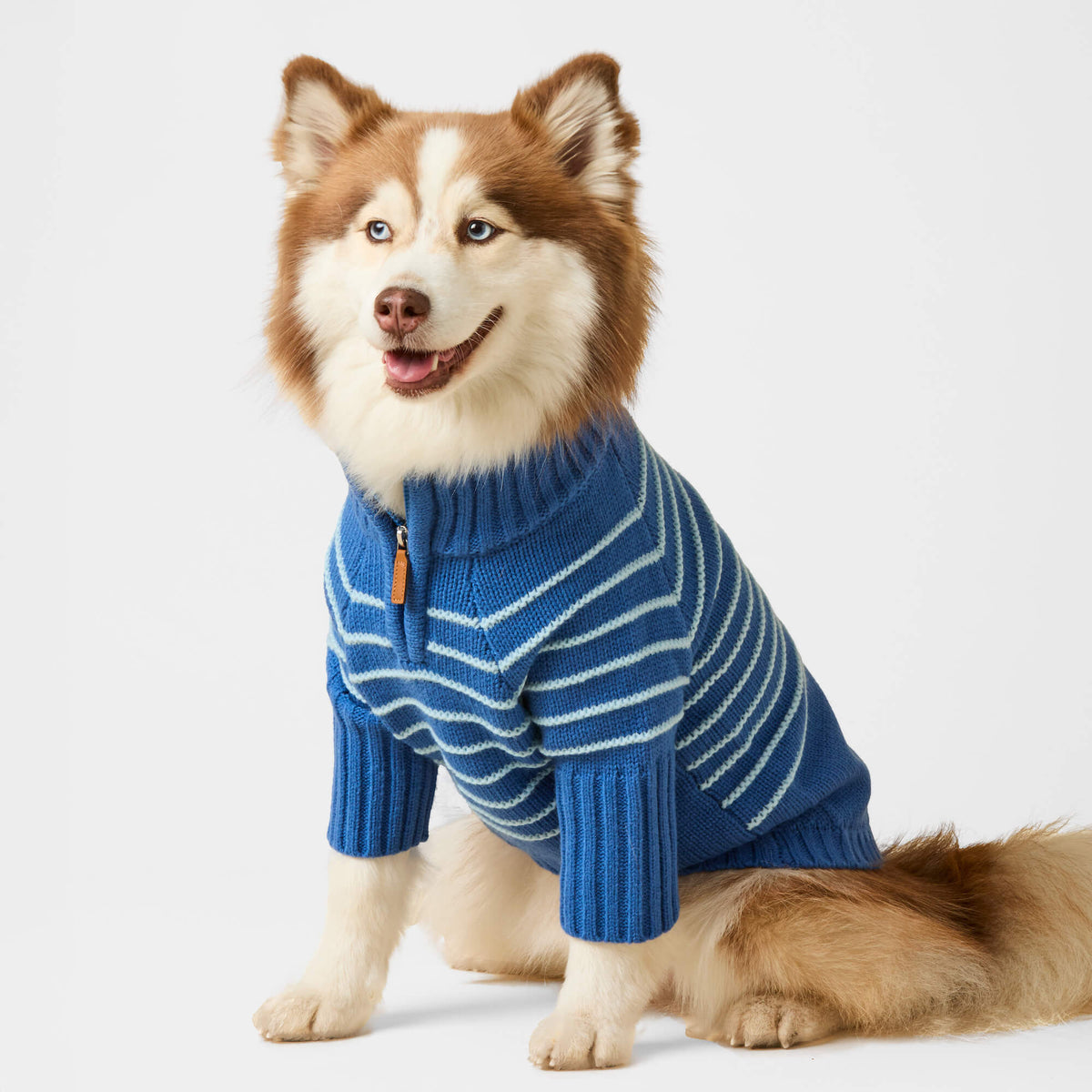 Gestreepte Hondentrui Met Kwart-Rits – Blauw
