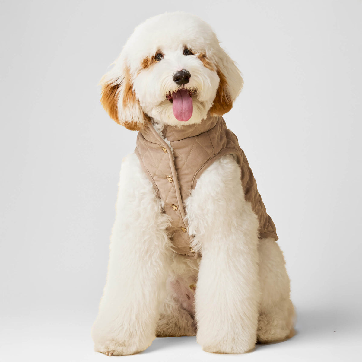 Beige Omkeerbare Sherpa Hondenjas
