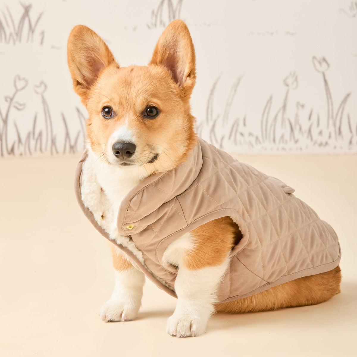 Beige Omkeerbare Sherpa Hondenjas