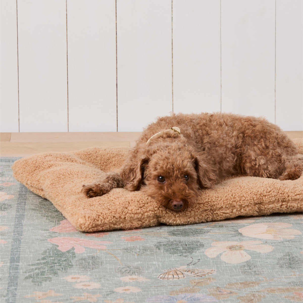 Beige 3-in-1 Sherpa Reismat Voor Honden