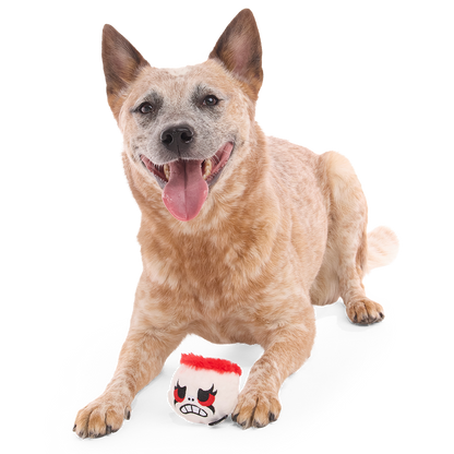 Vrolijke hond ligt met het pluche speeltje tussen zijn voorpoten