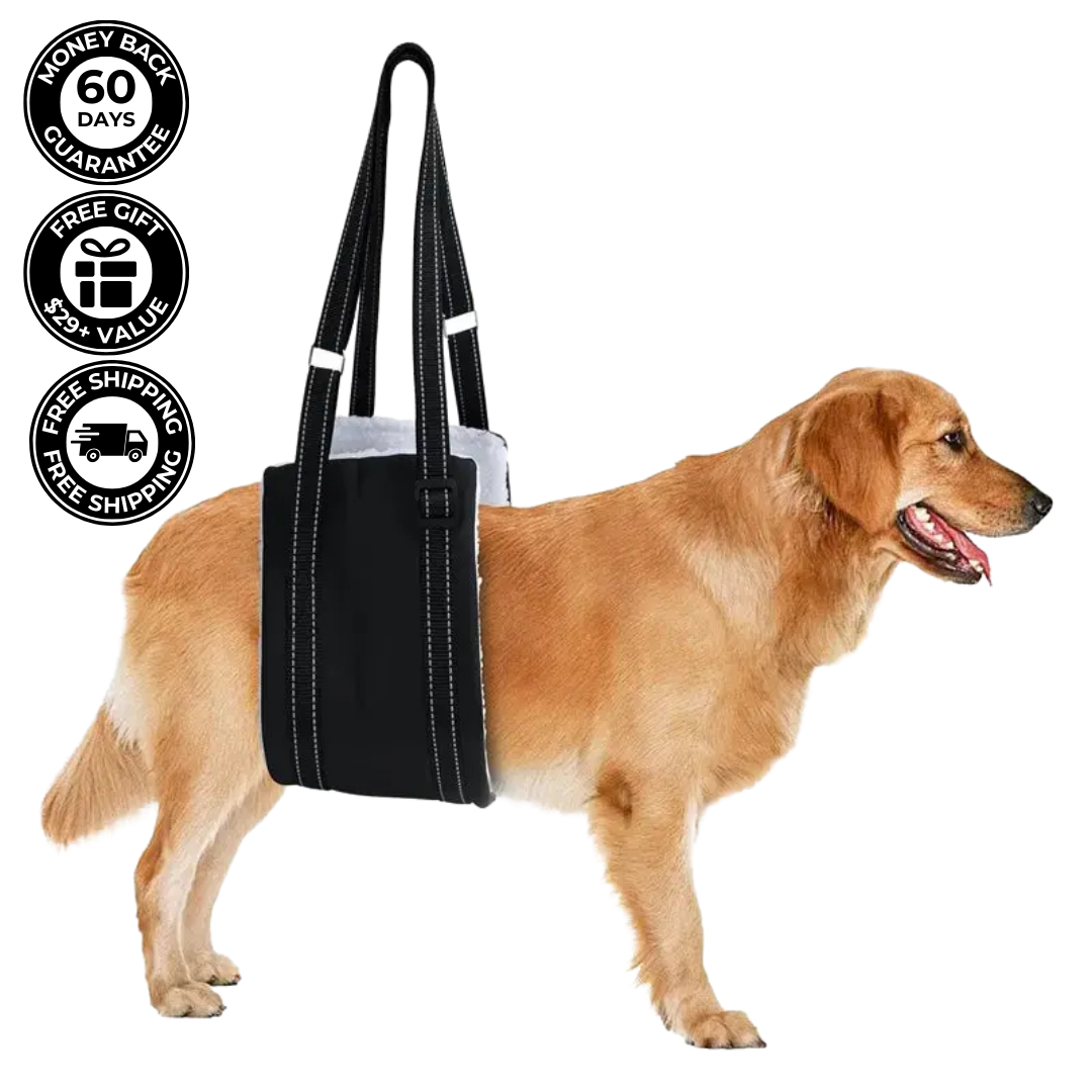 Dog Lifting Strap – For Recovery After Surgery or Injury