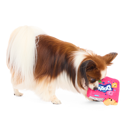 Staande papillon snuffelt in de opening van de roze snoepdoos