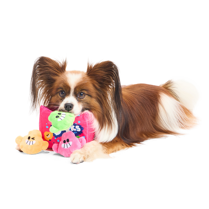Papillon met een groen pluche snoepje in de bek bij de snoepdoos