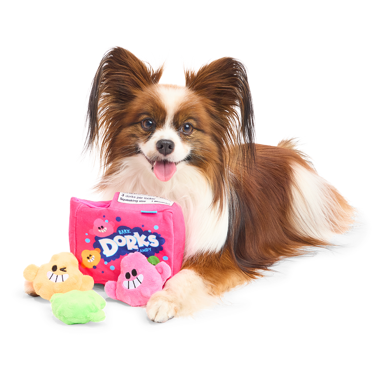 Papillon ligt naast de roze snoepdoos met oranje, roze en groene snoepjes