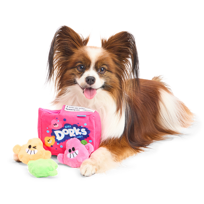Papillon ligt naast de roze snoepdoos met oranje, roze en groene snoepjes