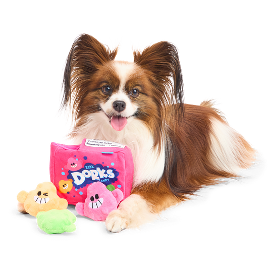 Papillon ligt naast de roze snoepdoos met oranje, roze en groene snoepjes