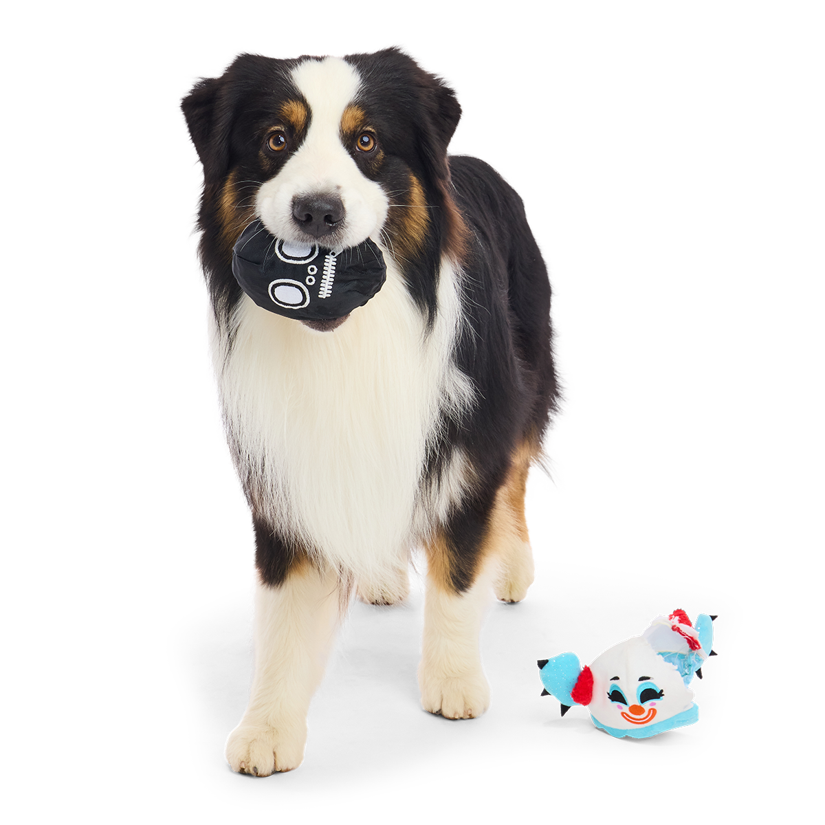 Staande hond met zwarte doodshoofdbal in de bek naast de clownknuffel