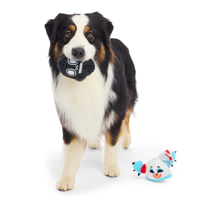 Staande hond met zwarte doodshoofdbal in de bek naast de clownknuffel