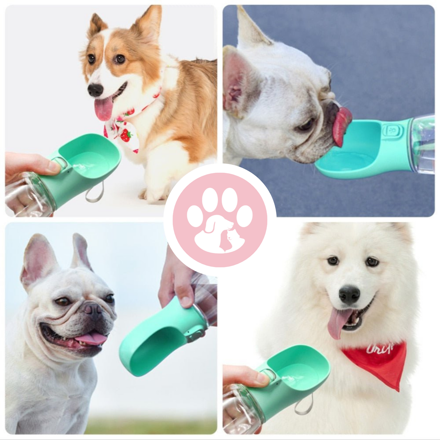 Portable Dog Water Bottle – For On-the-Go Hydration