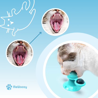 Draaiend Kattenrad Met Speelballen – Voor Langdurig Vermaak