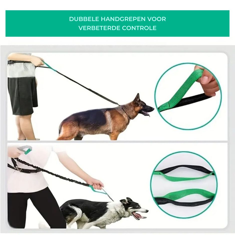 Uitleg over dubbele handgrepen, met herder en border collie aan groene riem