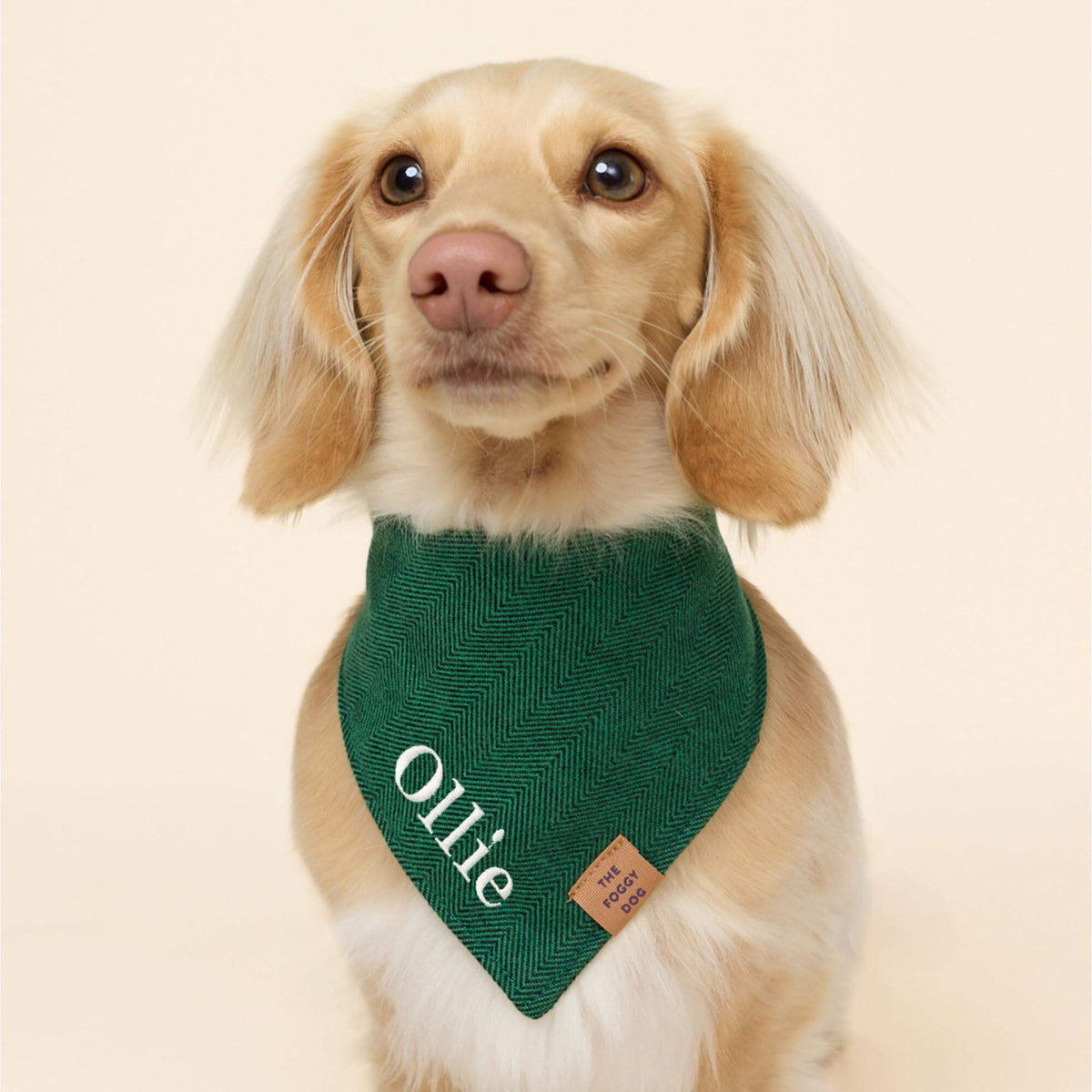 Evergreen Visgraat Flanellen Bandana Voor Honden