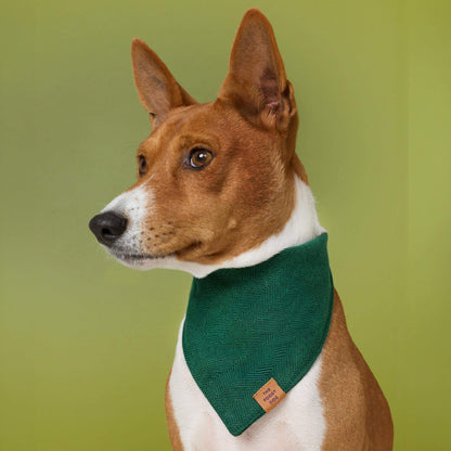 Evergreen Visgraat Flanellen Bandana Voor Honden
