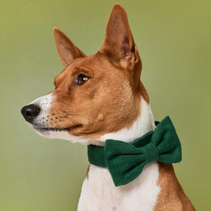 Groene Visgraat Flanellen Halsband Met Vlinderdas
