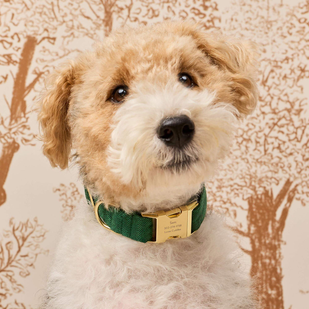 Evergreen Visgraat Flanellen Halsband Voor Honden