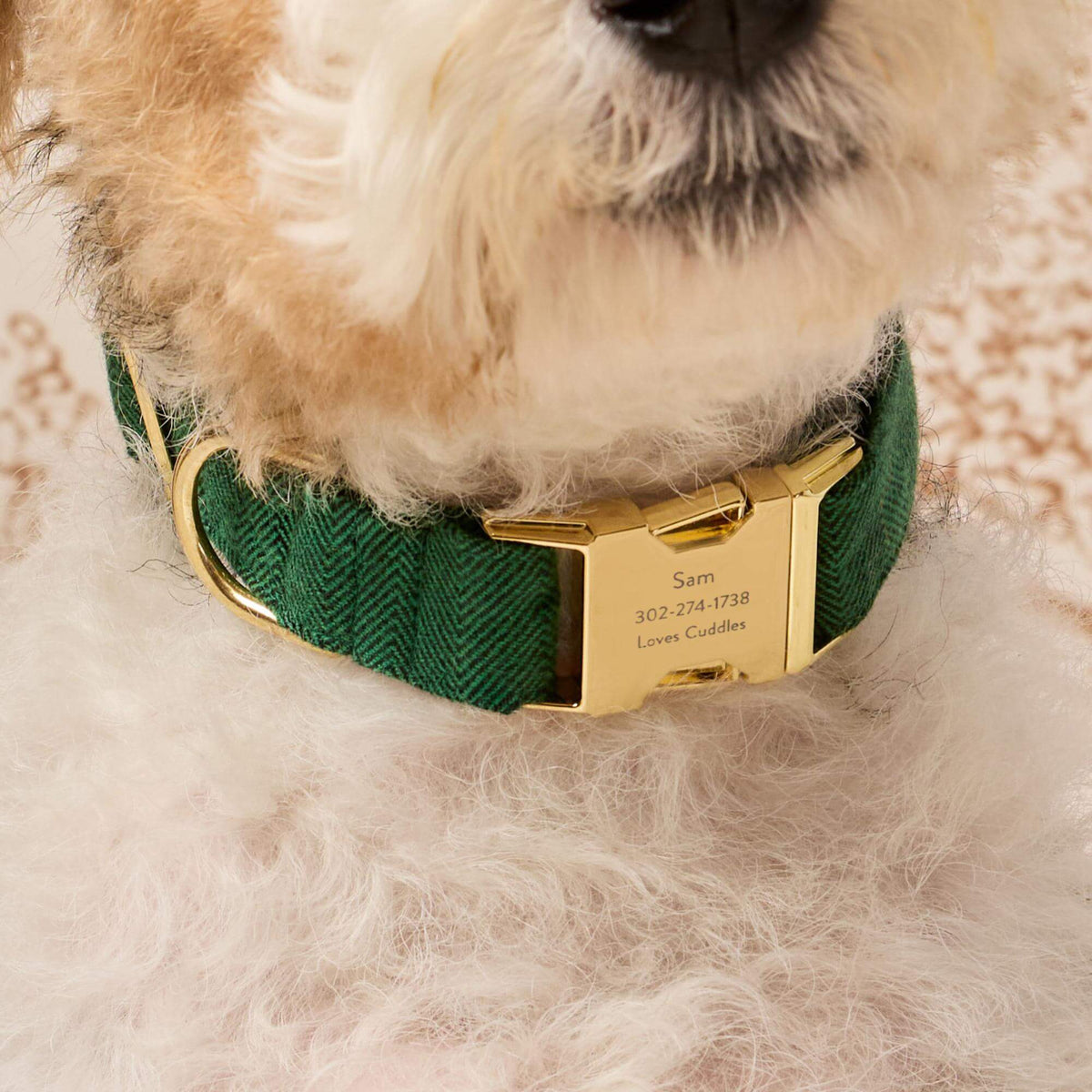 Evergreen Visgraat Flanellen Halsband Voor Honden