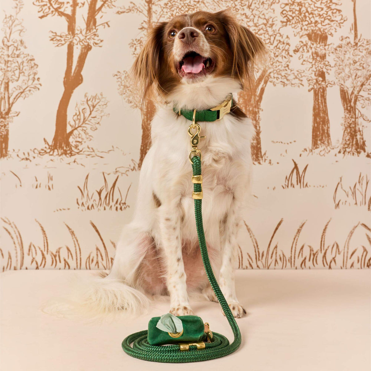 Groene Visgraat Flanellen Wandelset Met Halsband
