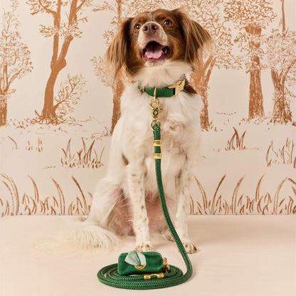 Groene Visgraat Flanellen Wandelset Met Halsband