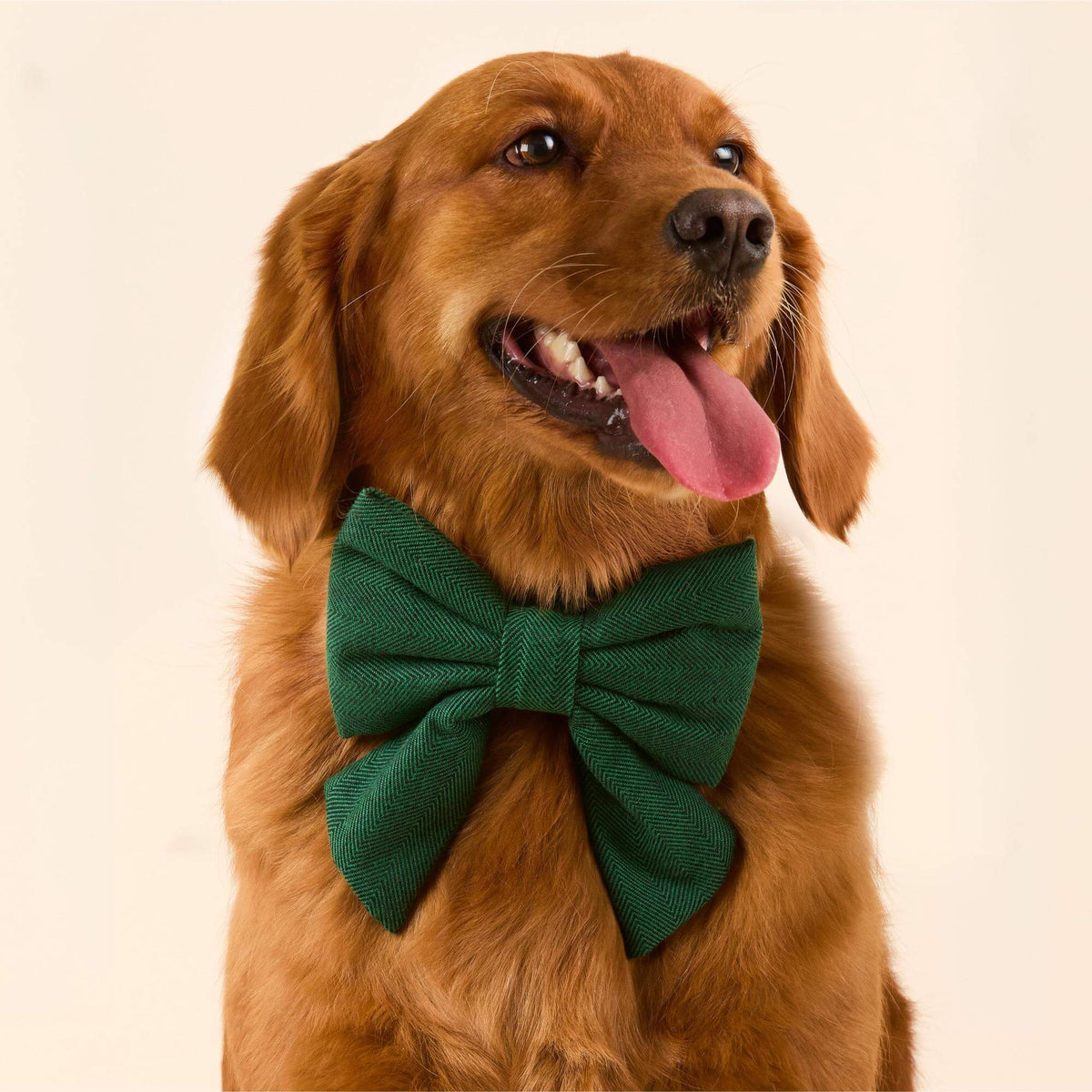 Evergreen Visgraat Flanellen Strik Met Staarten Voor Honden