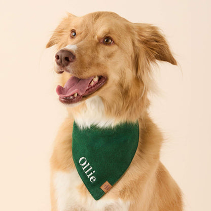 Evergreen Visgraat Flanellen Bandana Voor Honden