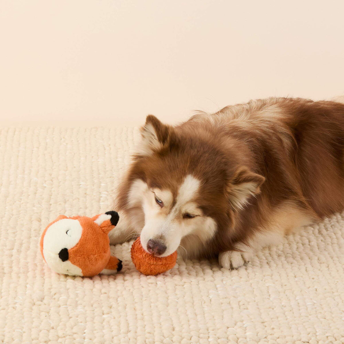Bosvriendjes 2-in-1 Stuiterspeelgoedset Voor Honden
