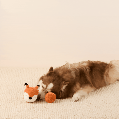 Bosvriendjes 2-in-1 Stuiterspeelgoedset Voor Honden