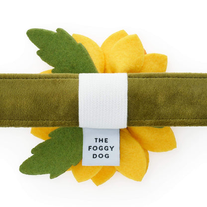 Zonnebloem Halsband Met Afneembare Bloem Voor Honden