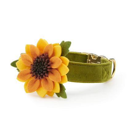 Zonnebloem Halsband Met Afneembare Bloem Voor Honden
