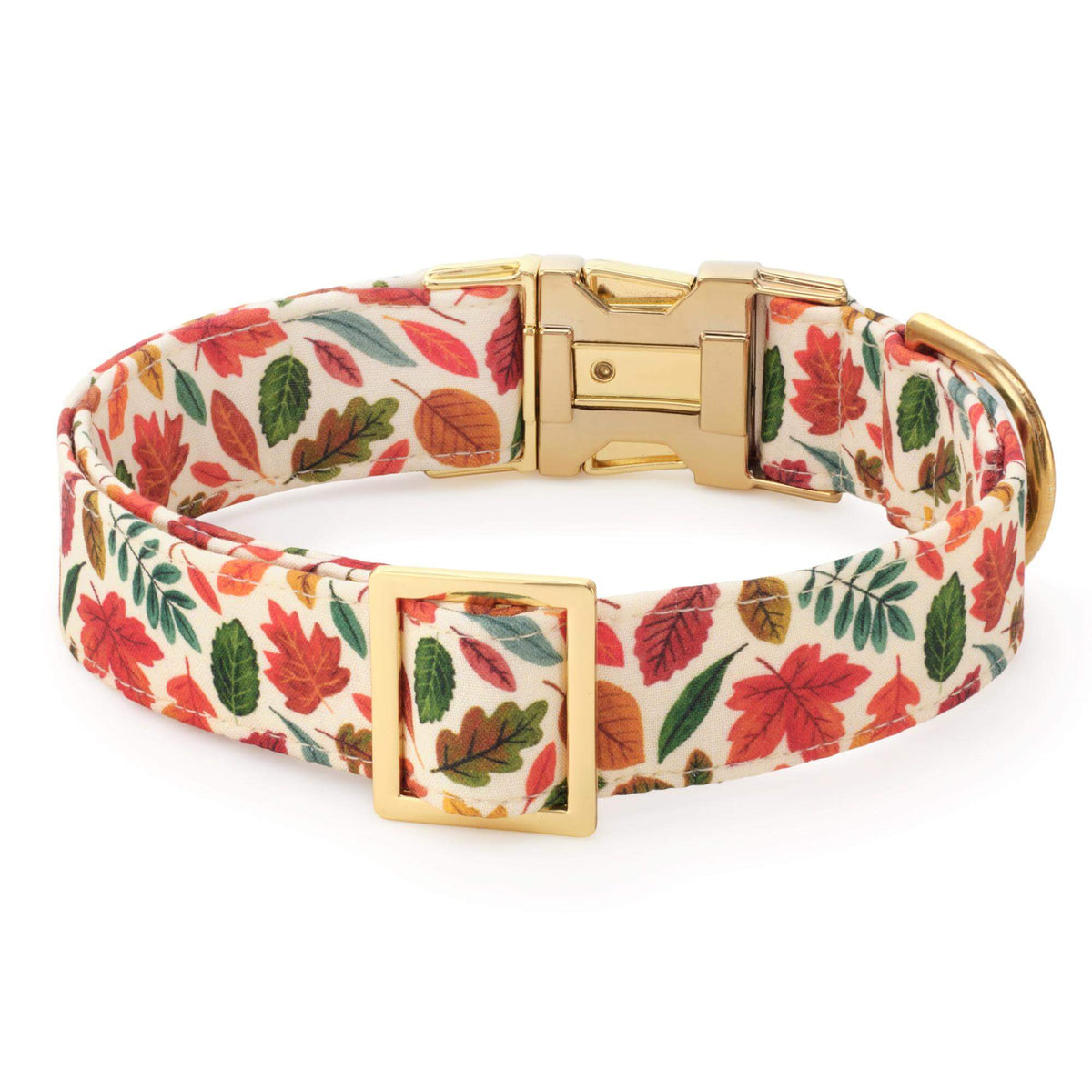 Herfstbladeren Halsband Voor Honden