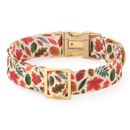Herfstbladeren Halsband Voor Honden