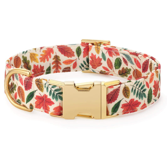 Herfstbladeren Halsband Voor Honden