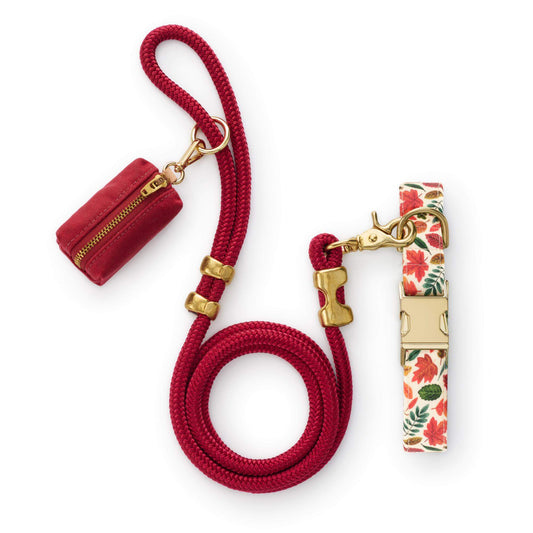 Herfstbladeren Wandelset Met Halsband Voor Honden