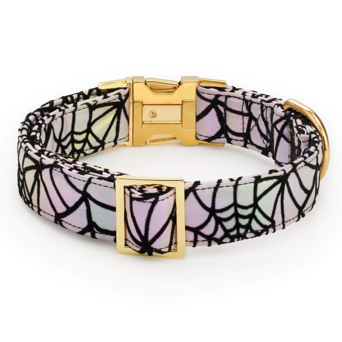 Holografische Spinnenweb-Halsband Voor Honden