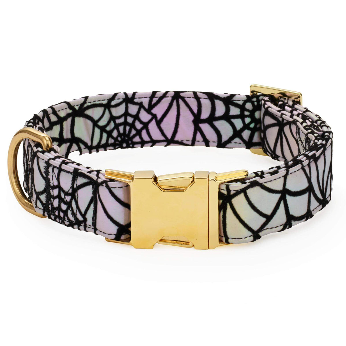 Holografische Spinnenweb-Halsband Voor Honden