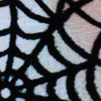 Holografische Spinnenweb-Strikhalsband Voor Honden