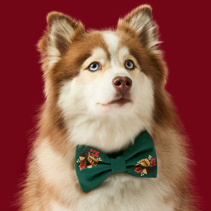 Fall Foliage Geborduurde Strikhalsband Voor Honden