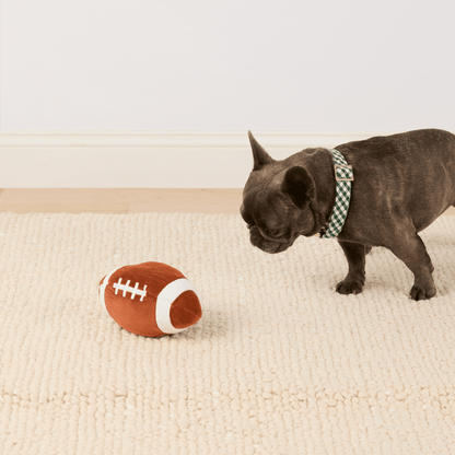 Interactief Football Snuffelspeelgoed Voor Honden