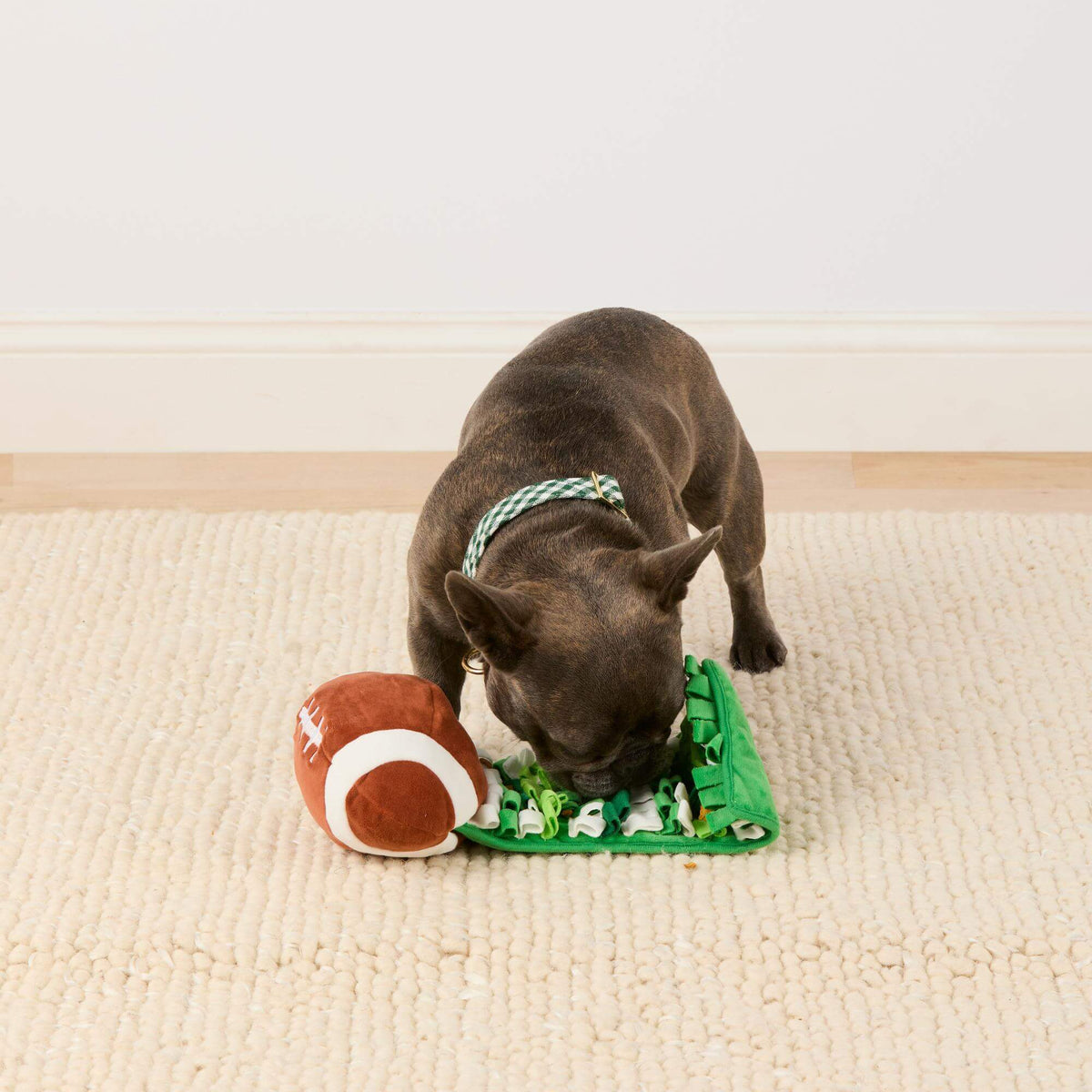 Interactief Football Snuffelspeelgoed Voor Honden