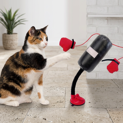 Lapjeskat slaat met poot naar zwarte kattenboksbal met rode handschoentjes en zuignap