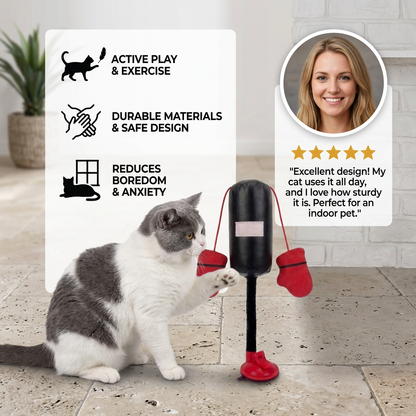 Grijs-witte kat speelt met de boksbal, met voordelen en een klantreview