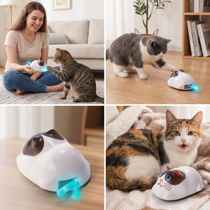 Collage met katten die met de robot spelen en close-up van blauw lichtgevende staart