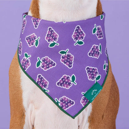 Classic Grape Bandana Voor Honden