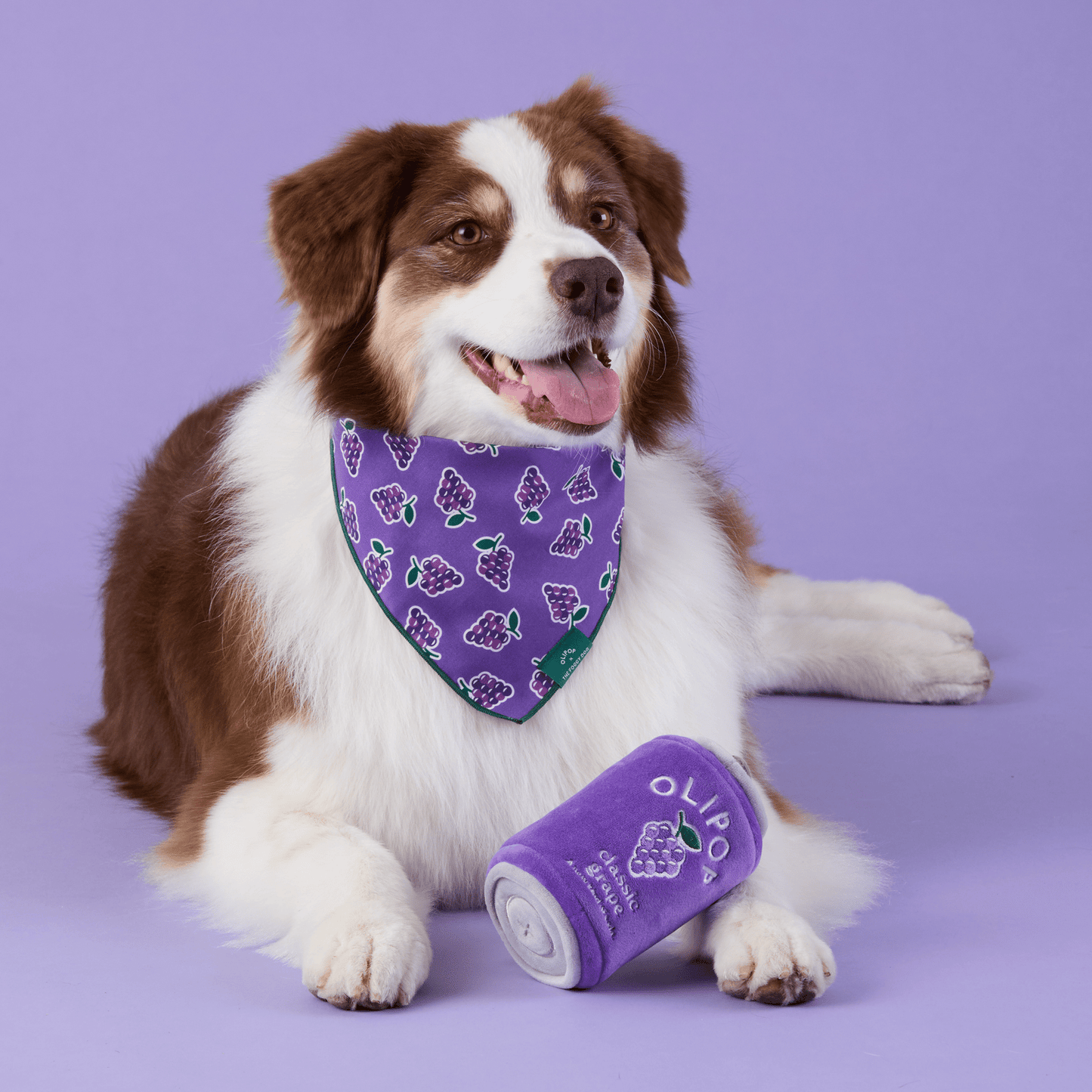 Classic Grape Bandana Voor Honden