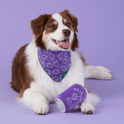 Classic Grape Bandana Voor Honden